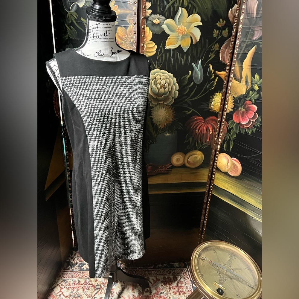 Tanner black and white dress (D3)